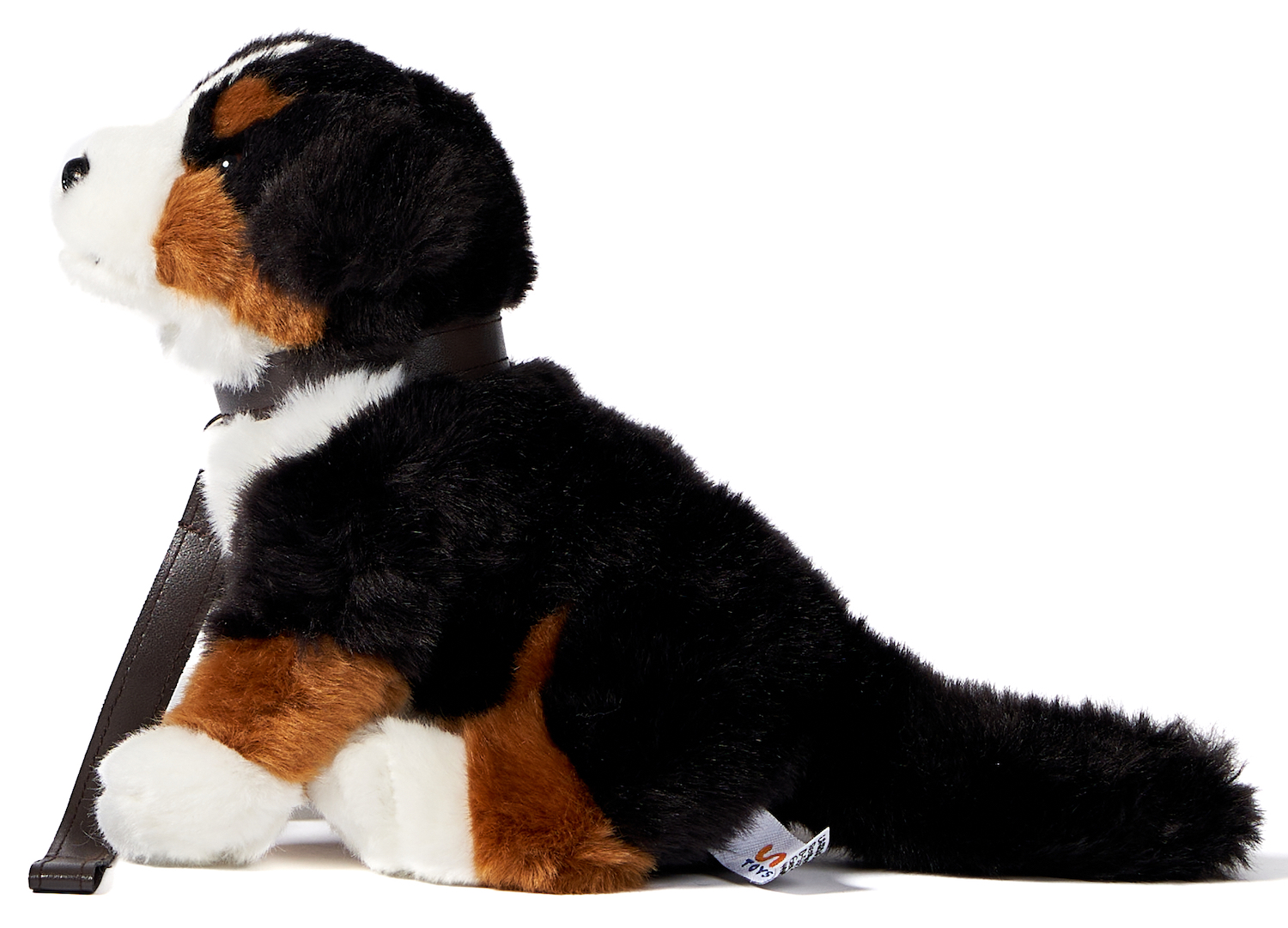 Bernese Mountain Dog Puppy, sitting - With lead and voice (sound) - 19 cm (height)