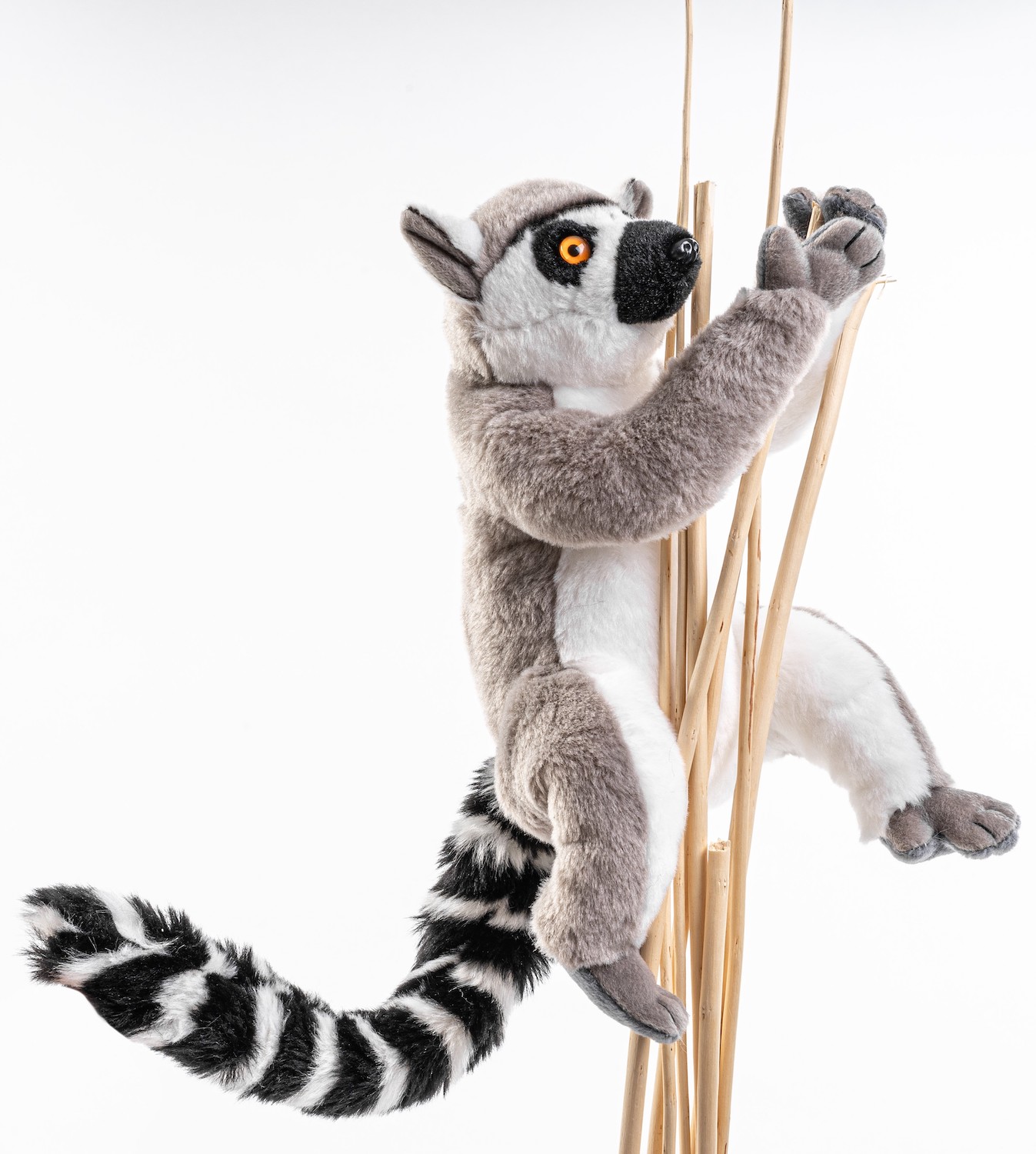 Katta-Lemur (mit Klettverschluss) - 21 cm (Höhe)