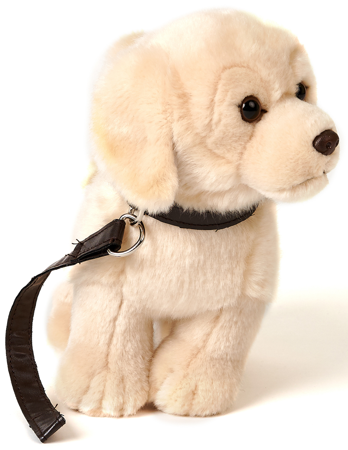 Golden Retriever Puppy, Standing (With Leash) - 22 cm (height)