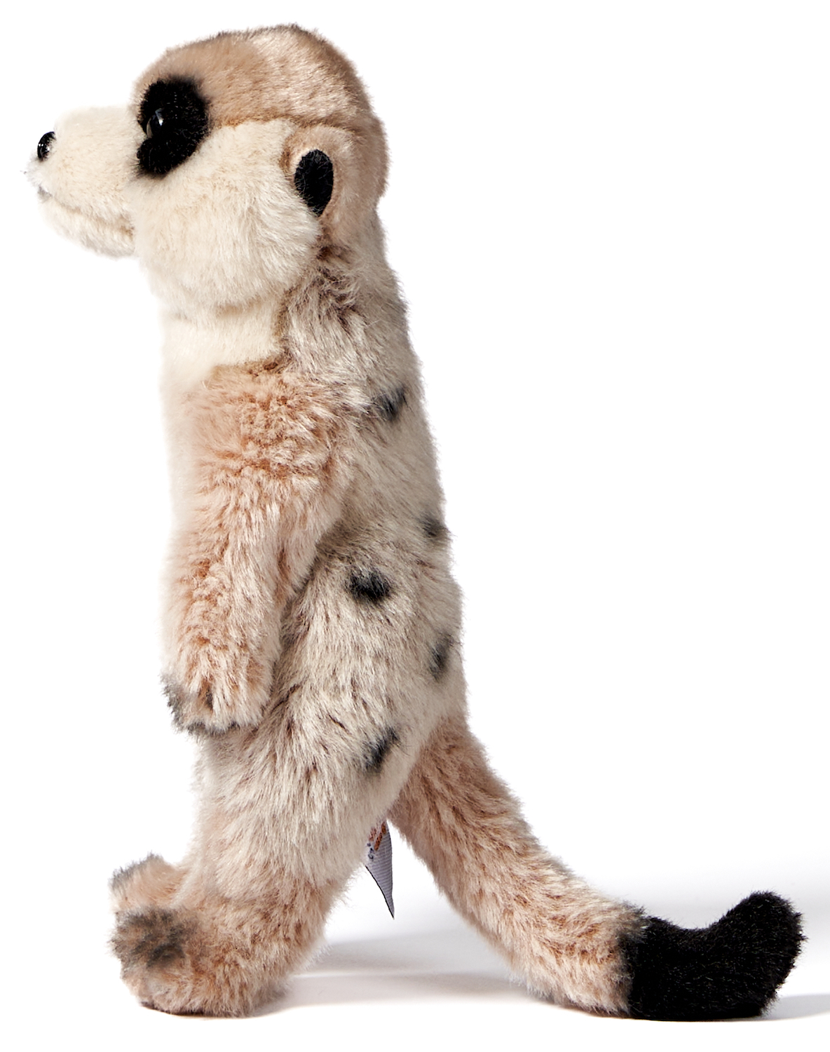 Meerkat - 24 cm (height)
