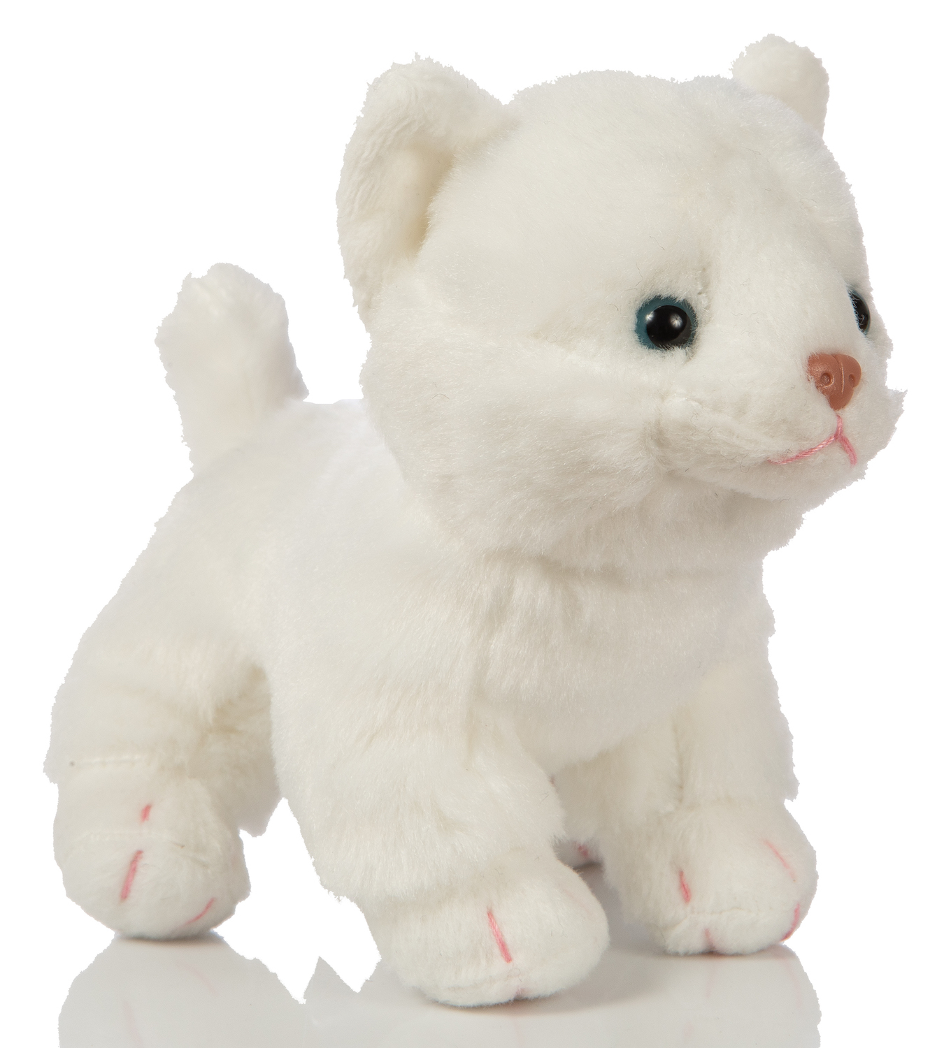 Baby cat (white), standing