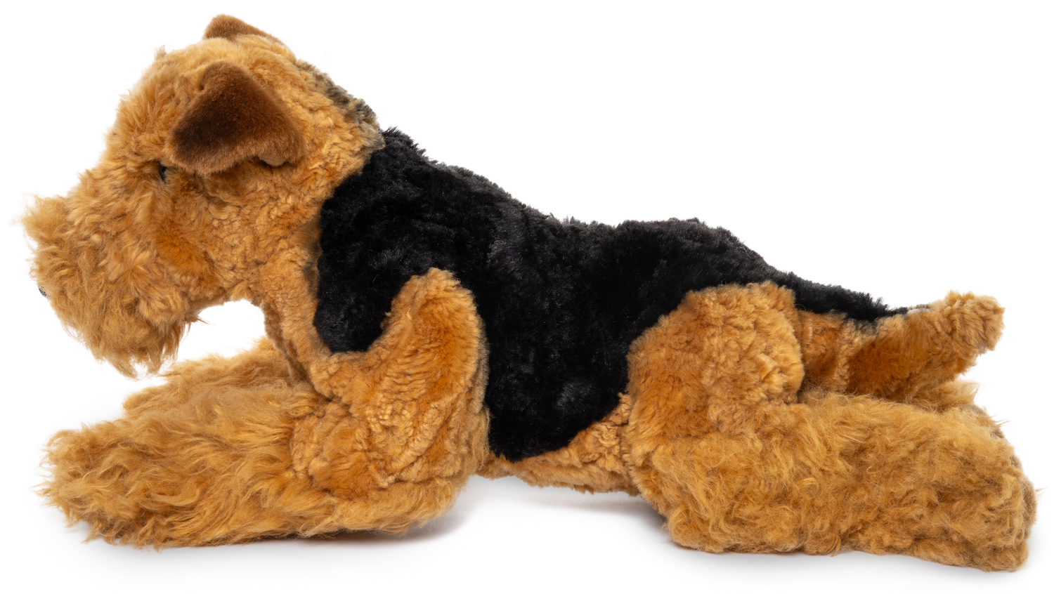 Airedale Terrier, liegend - 43 cm (Länge)