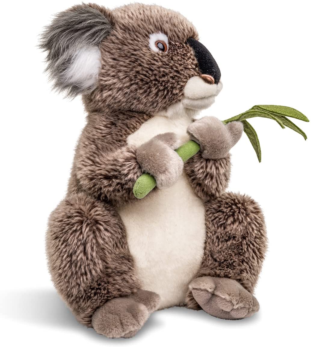 Koala with leaf, sitting