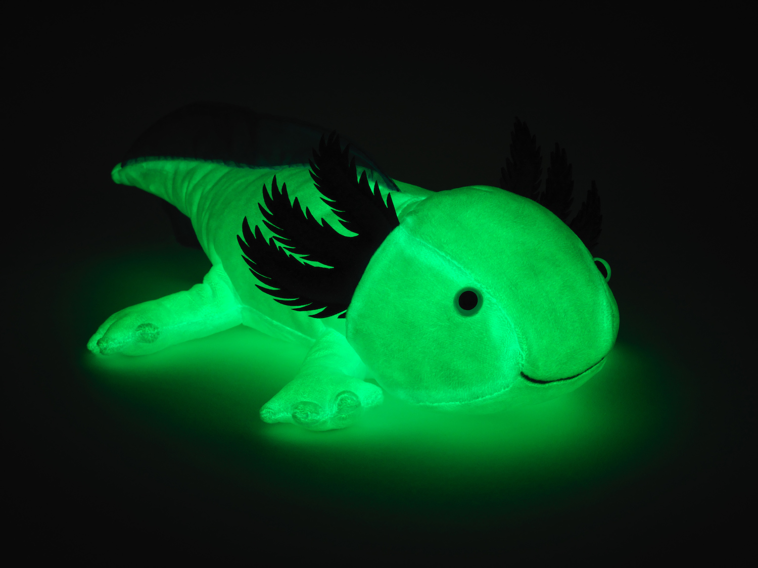 Axolotl (hellblau) - Leuchtet im Dunkeln (fluoreszierender Plüsch) - 32 cm (Länge) 
