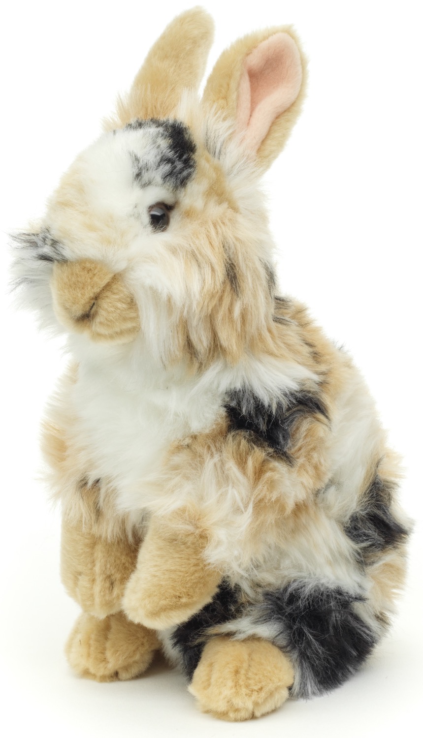 Löwenkopf-Kaninchen, stehend (schwarz-braun-weiß gescheckt) - Mit aufgestellten Ohren  - 23 cm (Höhe)