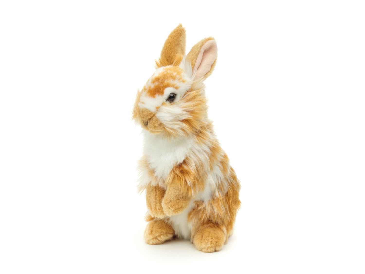 Löwenkopf-Kaninchen mit aufgestellten Ohren - stehend - Gold-weiß gescheckt - 23 cm (Höhe) - Plüsch-Hase - Plüschtier, Kuscheltier
