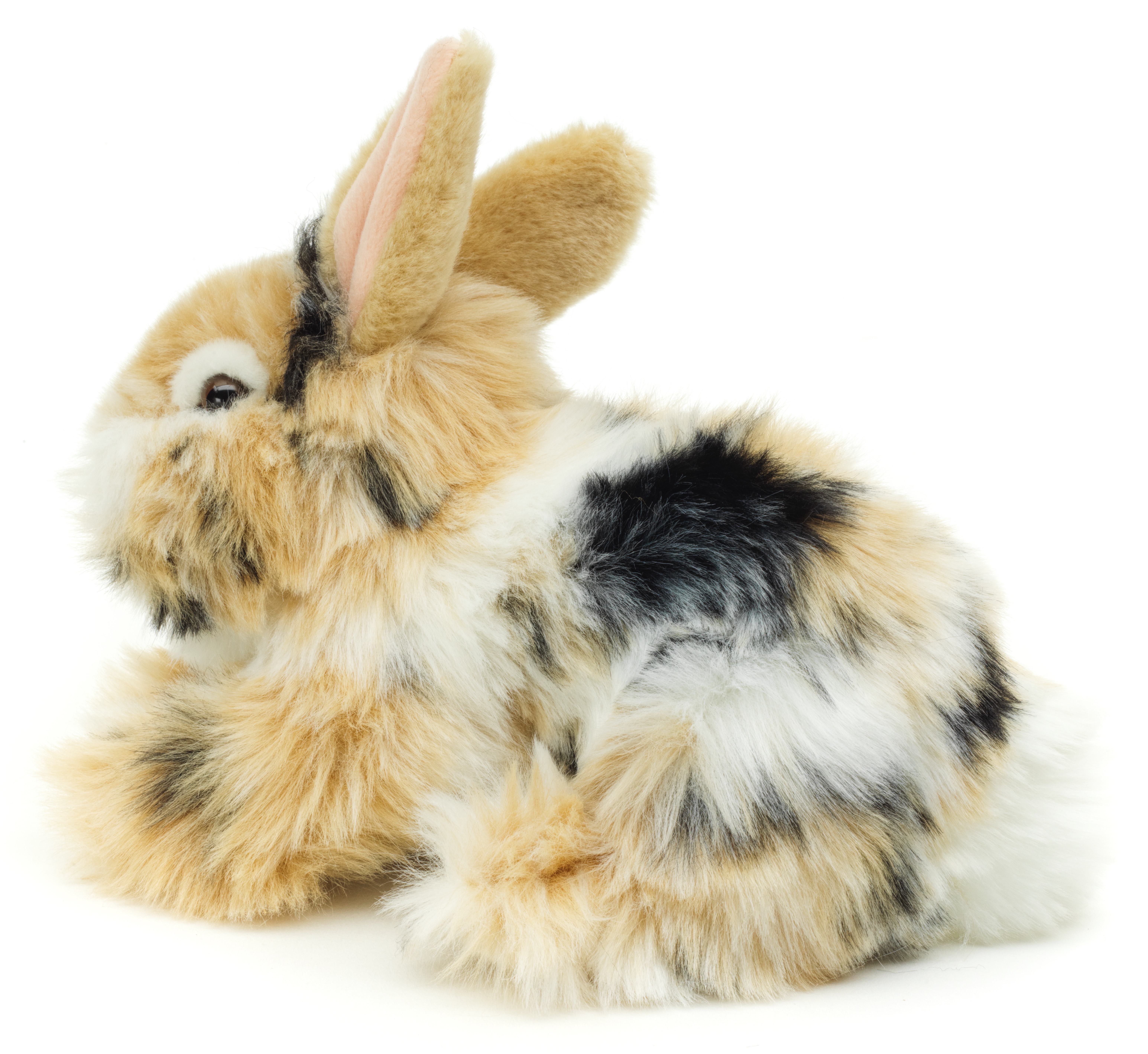 Löwenkopf-Kaninchen, liegend (schwarz-braun-weiß gescheckt) - Mit aufgestellten Ohren - 23 cm (Länge)