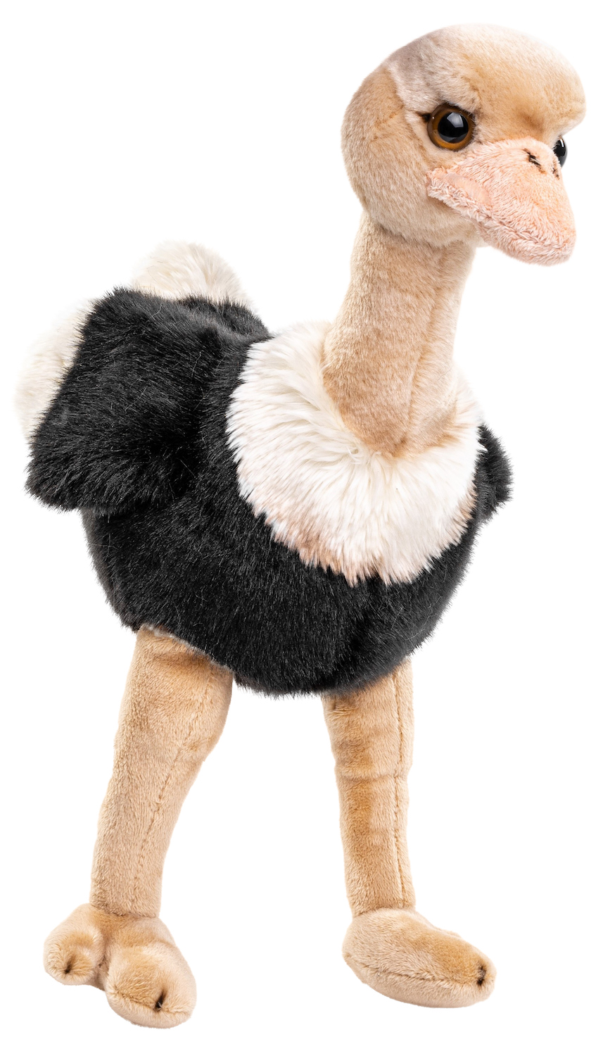 Ostrich - 28 cm (height) - Bird - Stuffed Animal, Plush Toy