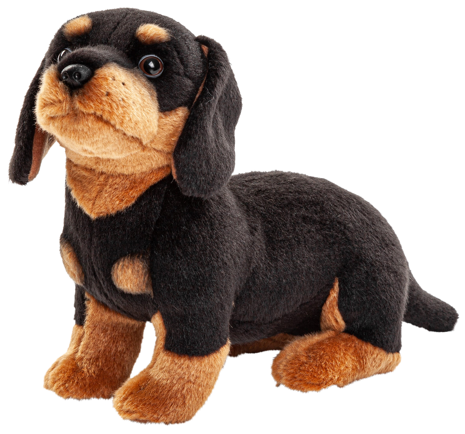 Dachshund (without leash) - 27 cm (length)