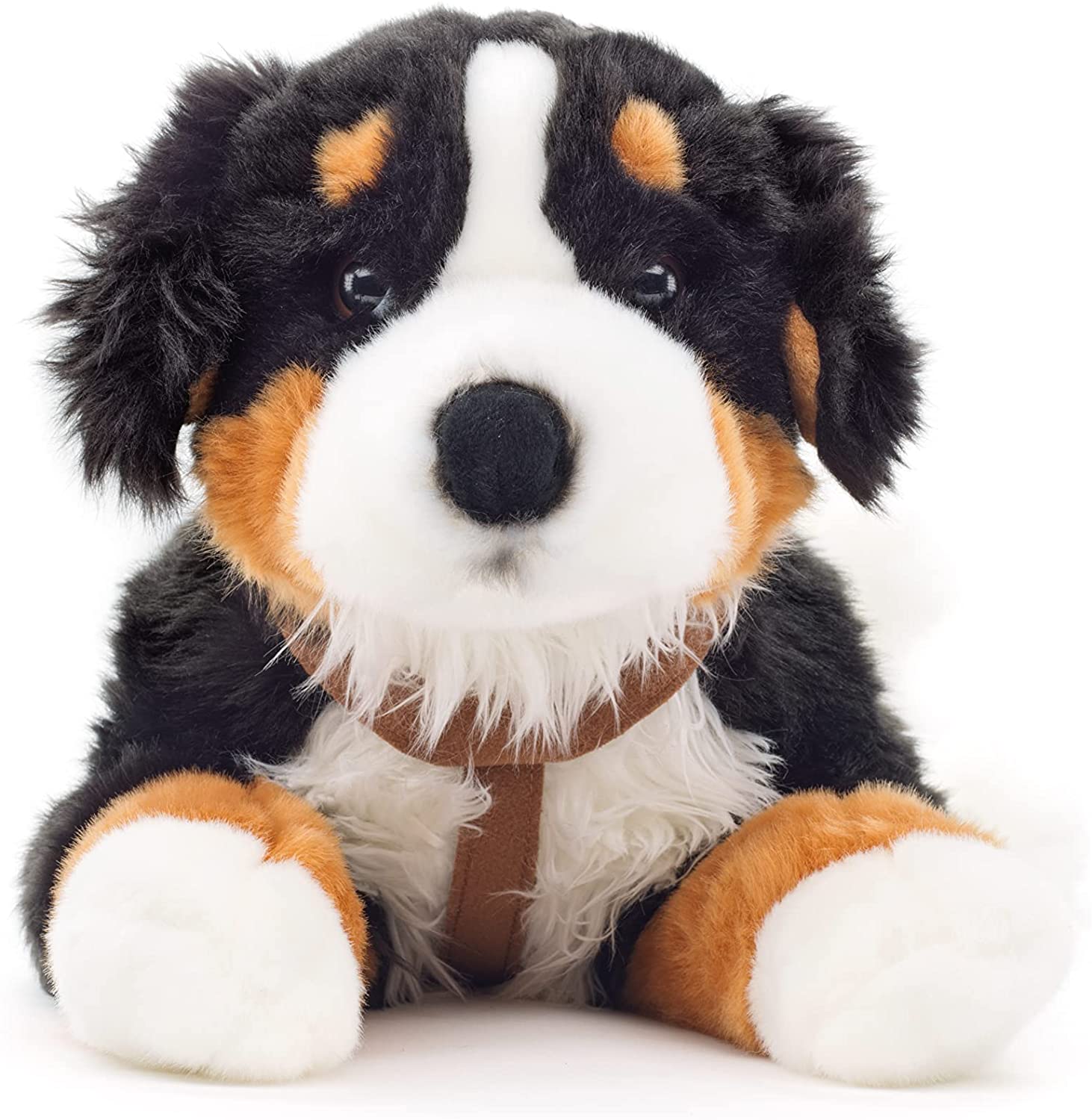 Bernese mountain dog with harness, lying - 62 cm (length) 