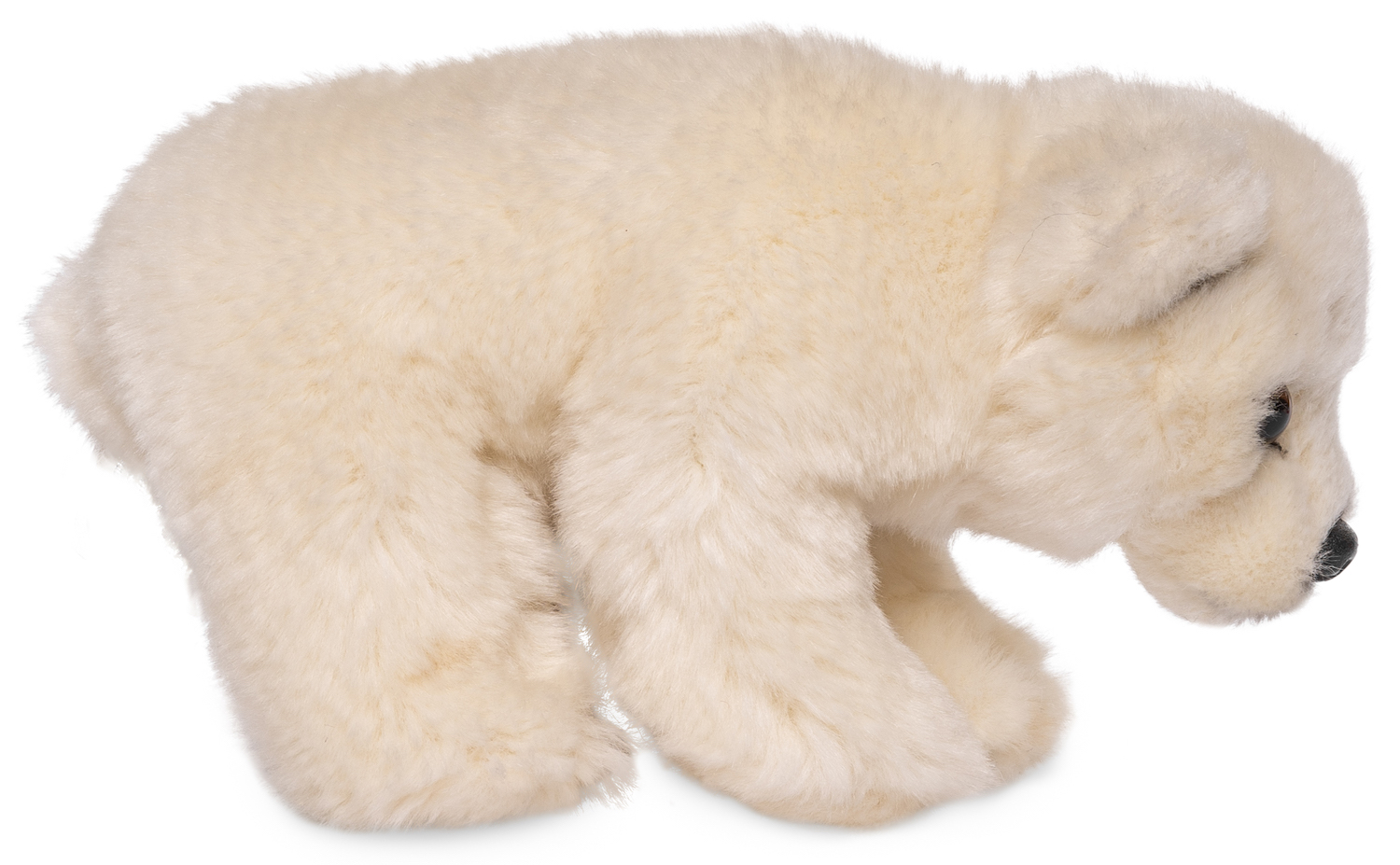Eisbär Junges, stehend - 19 cm (Länge) - Plüschtier, Kuscheltier