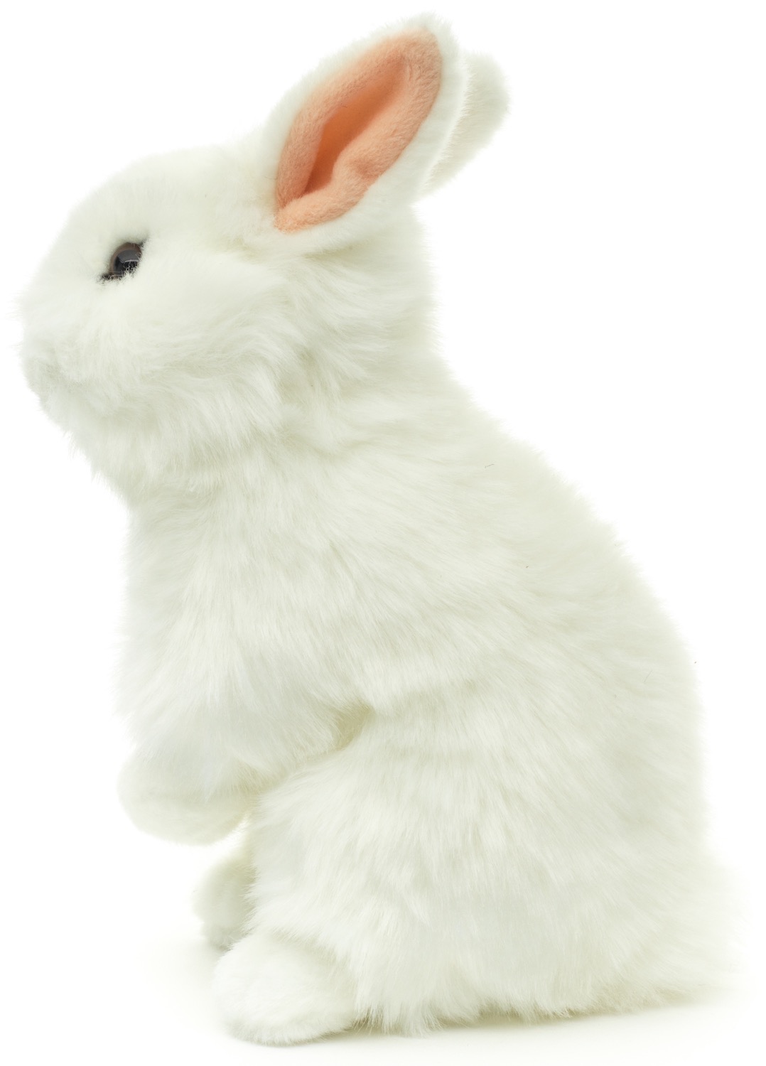 Löwenkopf-Kaninchen, stehend (weiß) - Mit aufgestellten Ohren  - 23 cm (Höhe)