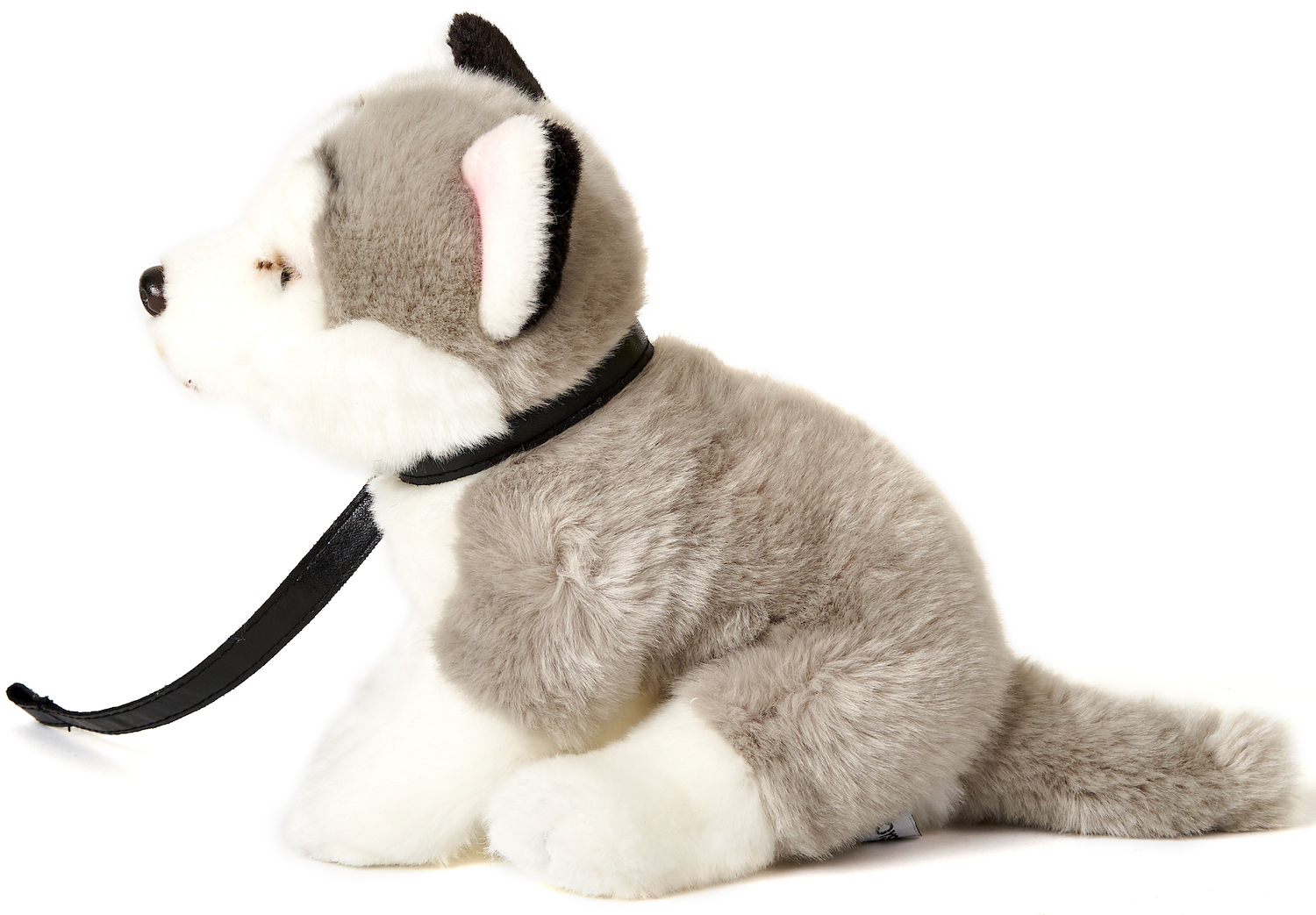 Husky gray, sitting (with leash) - 24 cm (height)