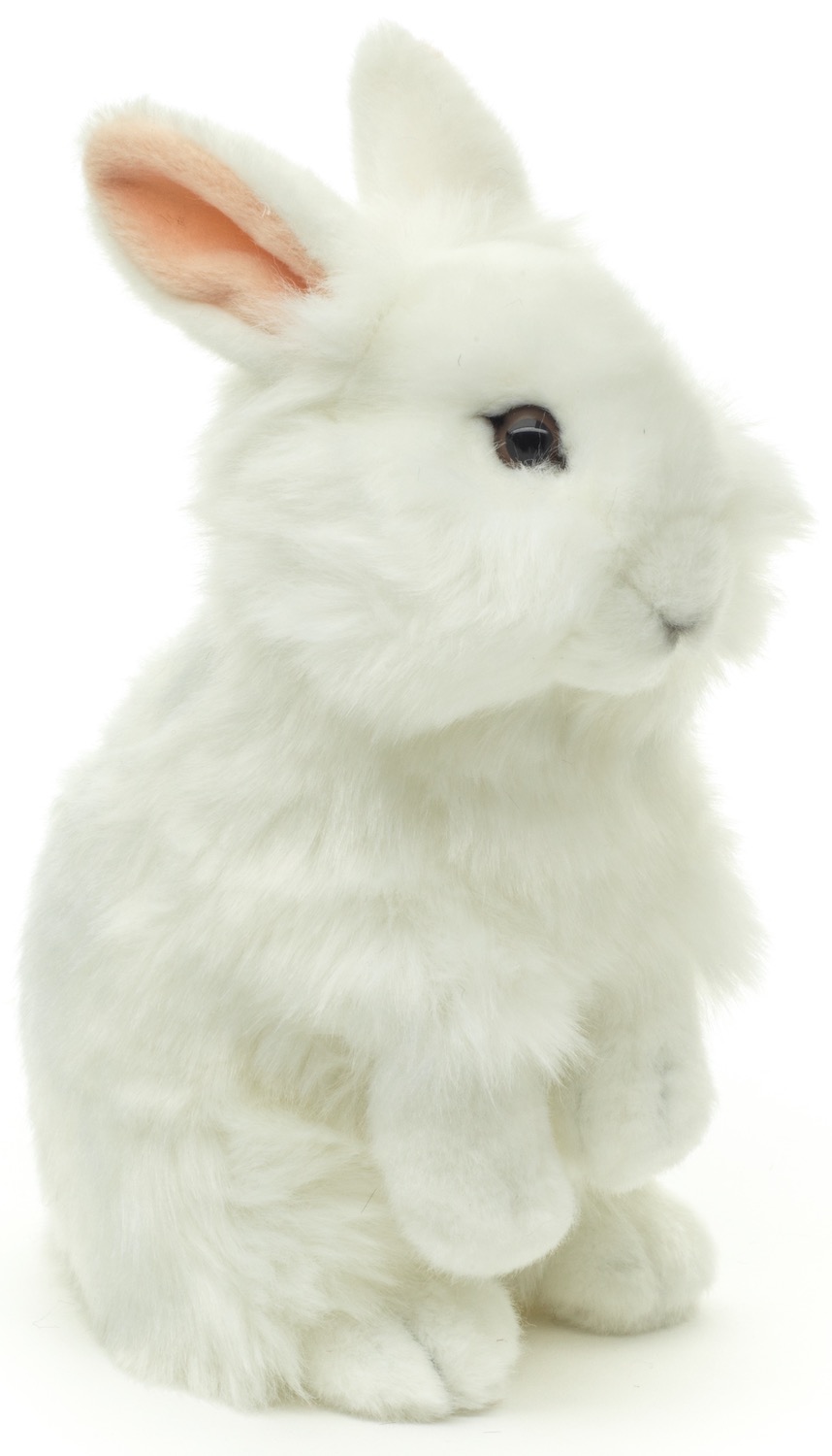 Löwenkopf-Kaninchen, stehend (weiß) - Mit aufgestellten Ohren  - 23 cm (Höhe)