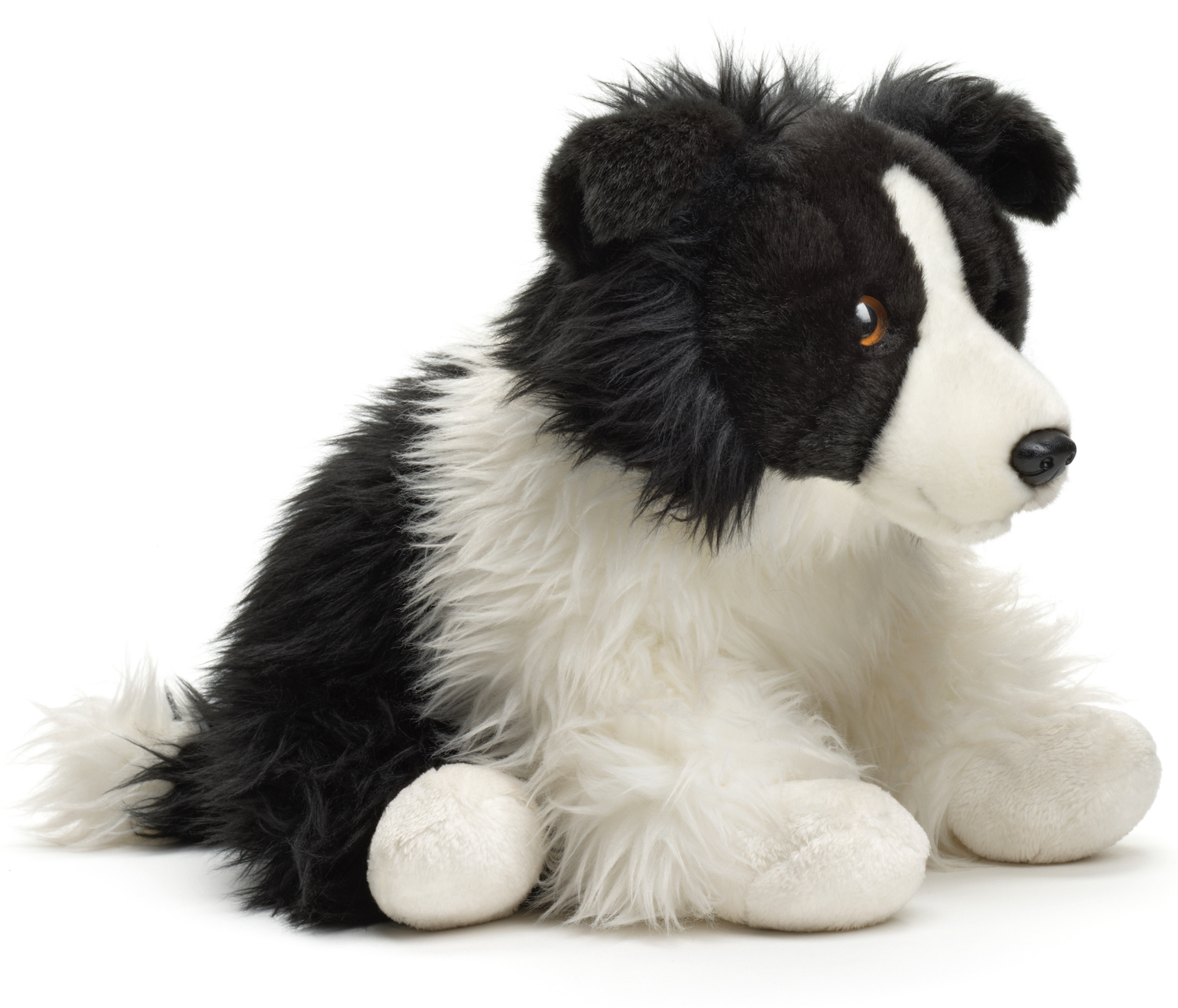Border Collie, sitting (without lead) - 26 cm (height)