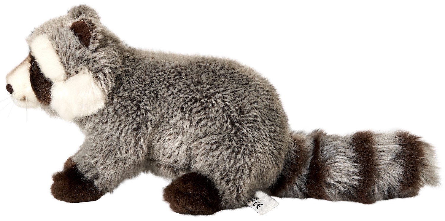  raccoon - 23 cm (length) 
