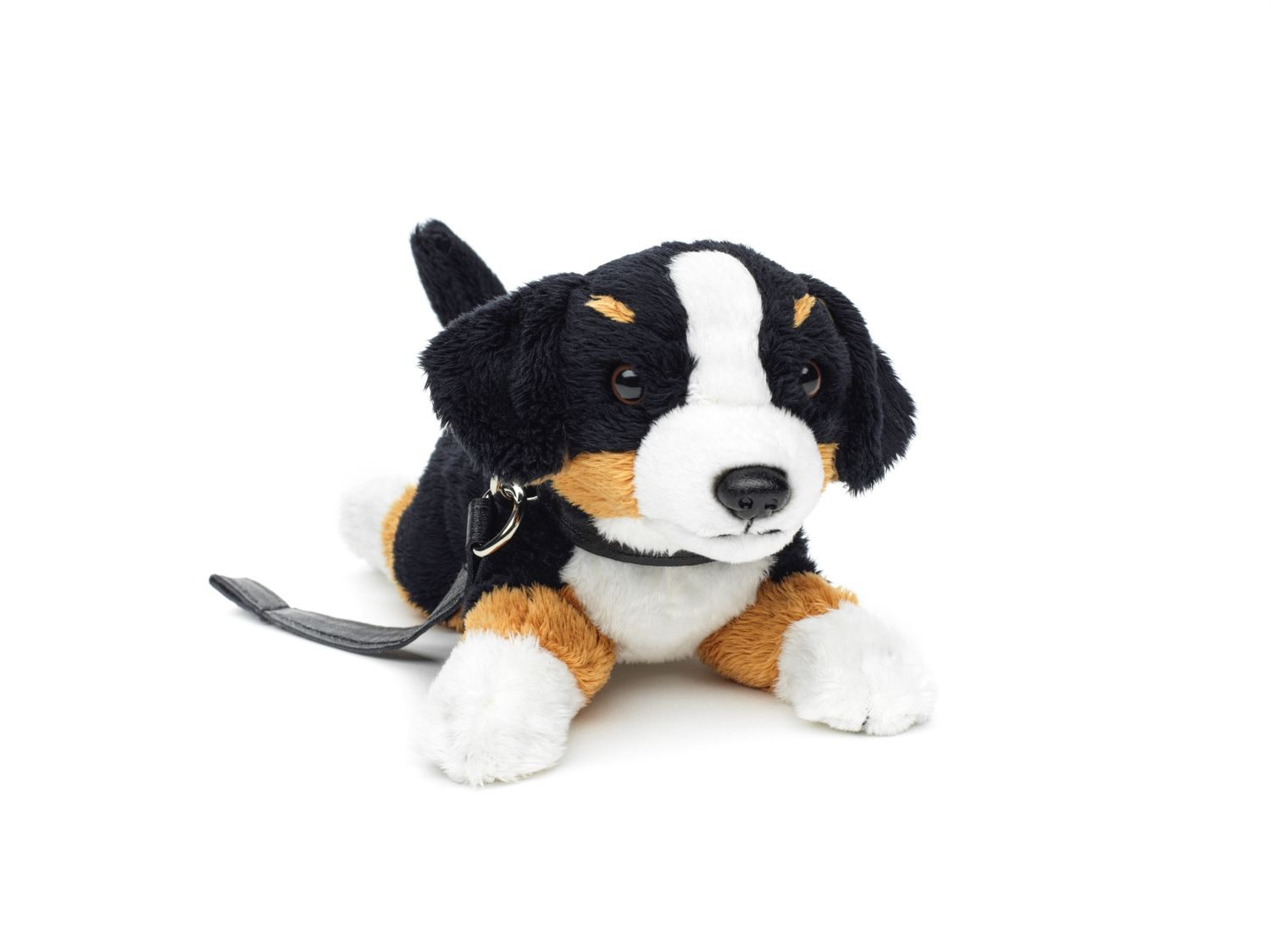 Berner Sennenhund Plushie (mit Leine) - 21 cm (Länge) - Plüsch-Hund, Haustier - Plüschtier, Kuscheltier