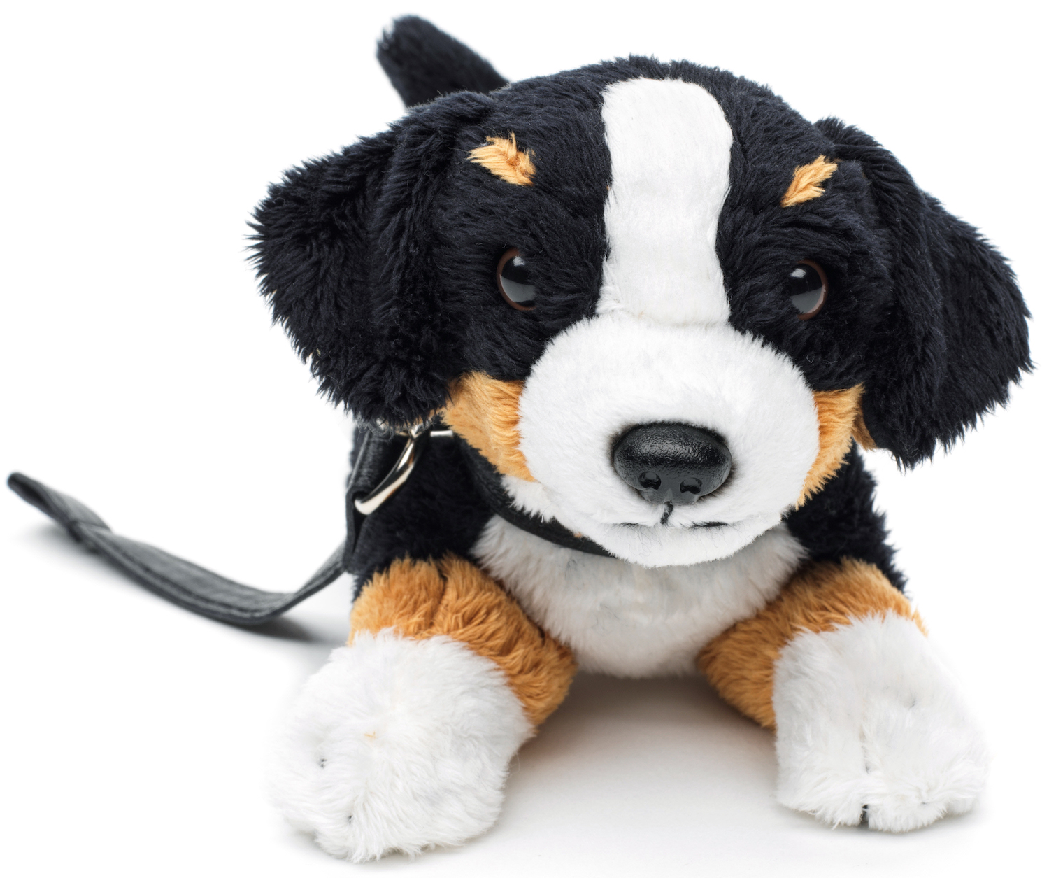 Bernese Mountain Dog Plushie (with leash) - 21 cm (length) 