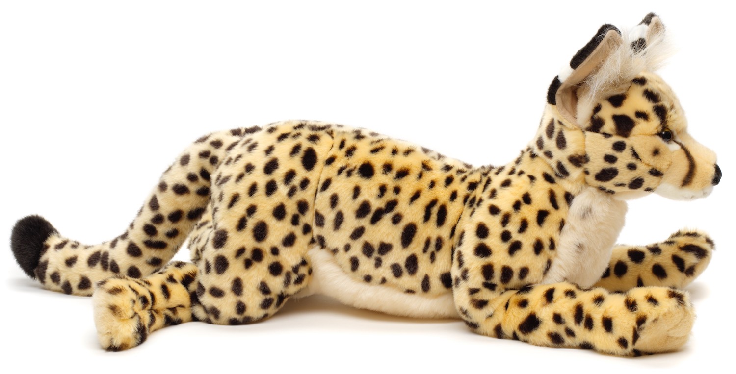  savannah cat, lying - 60 cm (length)